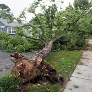 3 Falling trees can be a major hazard for an air conditioner during a storm in St. Louis.