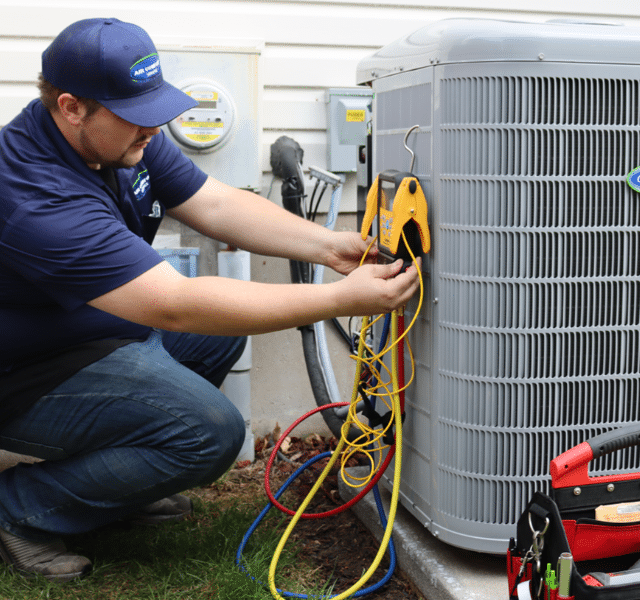 Untitled design (24)